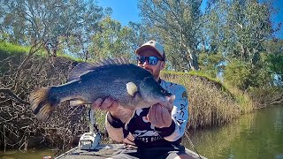 Yellowbelly Fishing  Murray River [upl. by Val]