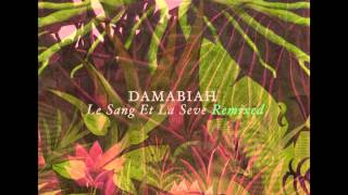 Damabiah  La Danse Des Morts Sur Le Mont Aux Nymphes Ioan Gamboa Remix [upl. by Seaman]