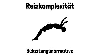 Reizkomplexität  Belastungsnormative  einfach erklärt [upl. by Yttel]