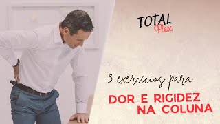 EXERCÍCIOS PARA DOR E RIGIDEZ NA COLUNA  TOTAL Flex 13 [upl. by Tut428]