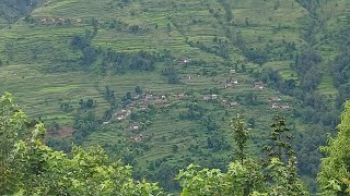 rainy season green of corn and other vegetable season ll [upl. by Tav]