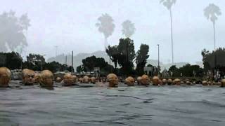 2010 Mission Bay Triathlon Swim Start [upl. by Retsam398]