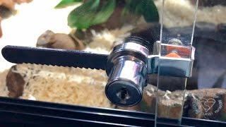 HOW TO INSTALL A VIVARIUM LOCK [upl. by Aonian354]