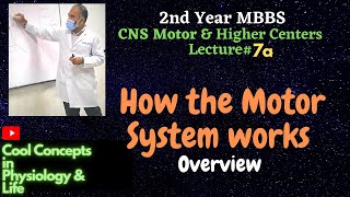 7a LIVE Sneak Preview of How the Motor System works 2ndYear MBBS Guyton  Ganong [upl. by Aveneg874]