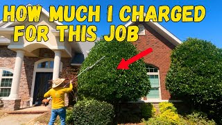 How Much To Charge for Shrub Trimming and WHY [upl. by Bubb362]