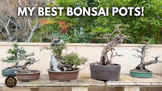 Bonsai Basics How to care for your bonsai [upl. by Harihs221]