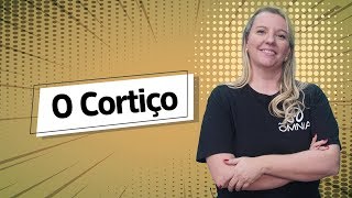 O Cortiço  Análise Literária Fuvest  Brasil Escola [upl. by Niatirb]