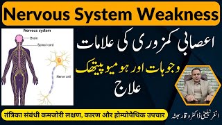 Nervous system weakness اعصابی کمزوری तंत्रिका संबंधी कमजोरी  Isabi kamzori Homeo  hindi  urdu [upl. by Ruhtracam510]