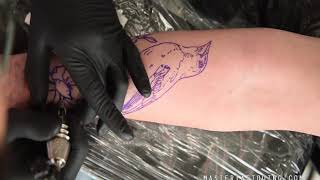 Live tattooing bird baltimore troepiaal [upl. by Oiragelo]