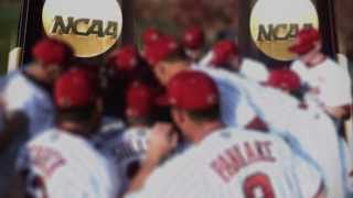 2014 South Carolina Baseball Intro [upl. by Nye]