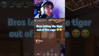 The tiger is out valorant valorantclips gaming funny entertainment shortsfeed [upl. by Laynad603]