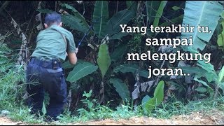 Repeat mancing di hutan tempoh hari [upl. by Neibart652]