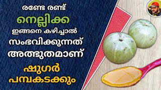 2 നെല്ലിക്ക ഇങ്ങനെ കഴിച്ചാൽ ഷുഗർ പമ്പ കടക്കും  Amla  Diabetes Control Tips [upl. by Ecinwahs]