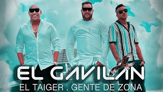 El Taiger ft Gente de Zona  El Gavilan Video Oficial [upl. by Yasmine]