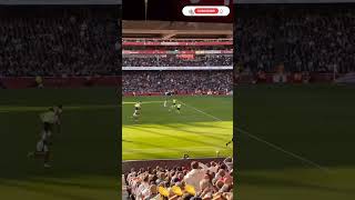 Arsenal vs Southampton 31 All Goals and Extended Highlights  premier league 202425 [upl. by Adam362]