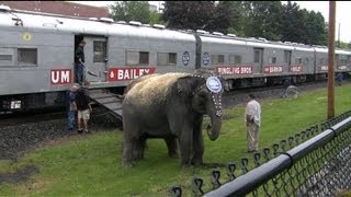 Ringling Brother Barnum and Bailey Circus Train Bound for Hershey PA [upl. by Culhert319]