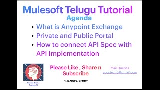 Part1Session22Mulesoft Telugu TutorialHow to Publish AssetsConnect API Spec API Implementation [upl. by Vary289]