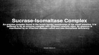 Medical vocabulary What does SucraseIsomaltase Complex mean [upl. by Lewls]