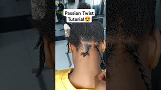 Passion Twist Tutorial 😍 tranding reels 2024 shortvideo artist [upl. by Brady]