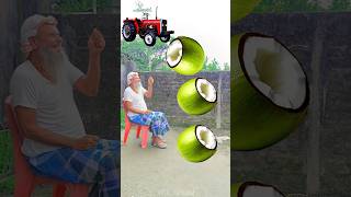 Rounding cut green coconuts to Alto Rollar Jcb amp Tractor  Vehicles names magic video [upl. by Kenleigh]