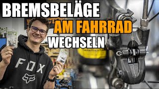 Bremsbeläge am Fahrrad wechselntauschen  Bremssattel schleiffrei einstellen [upl. by Lyons]