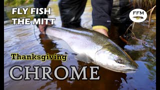 Thanksgiving Week Steelhead Fishing  Michigan 2020 [upl. by Shana833]