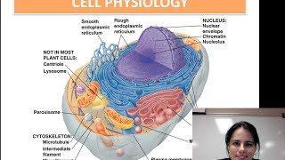 Cell Physiology Unit 1  Video 7 [upl. by Trepur]