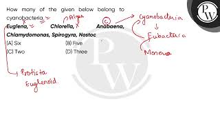 How many of the given below belong to cyanobacteria\nEuglena Chlorella Anabaena Chlamydomona [upl. by Eliot]