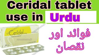 Ceridal 10mg Tablet use in UrduHindi  technical and medical information  Ceridal tab side effect [upl. by Enert]