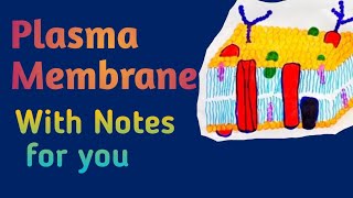 Plasma Membrane Lecture2  Cell  Biology  FSC 1st year MedicalMedicos [upl. by Anjanette]