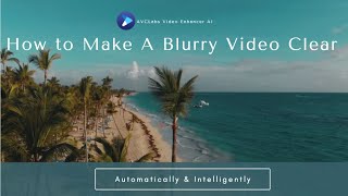 How to Make A Blurry Video Clear Using AVCLabs Video Enhancer AI [upl. by Githens]