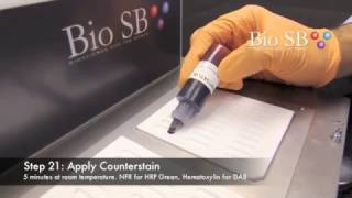 Bio SB Chromogenis InSitu Hybridization CISH  Demonstration Video [upl. by Hilleary]