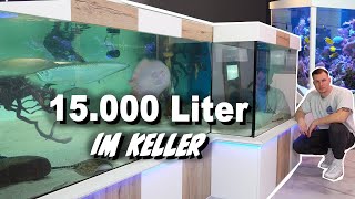 Hobbykeller  15000 Liter Aquarien  FETTE FISCHE  TECHNIK  Rochen Arowanas  Meerwasser KRASS [upl. by Enoob]