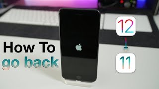 How To Downgrade iOS 12 back to iOS 11 [upl. by Lad]