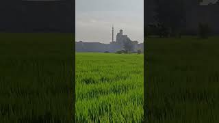 اجواء ريف المنصورة بمصر The atmosphere of the countryside of Mansoura Egypt [upl. by Napier]