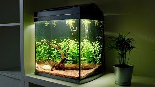 Setting Up Low Tech Betta Fish Aquarium [upl. by Aicak20]