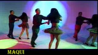 VIDEO  TROPICAL  NO HAY PESOS  LOS CANTANTES  FLV [upl. by Greabe]