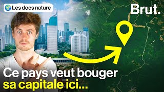 Une capitale futuriste géante… en pleine forêt [upl. by Parry719]