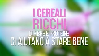 I cereali ecco come distinguerli [upl. by Ytitsahc140]