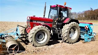 1455 XL  Case IH  Lemken Saphir 7  MBTrac 1300  Sommergerste drillen  Sound [upl. by Gray337]