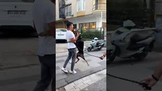 Doberman sahibinden üç gün ayrı kaldı 😱🥹 dog doberman dobberman [upl. by Nelehyram]