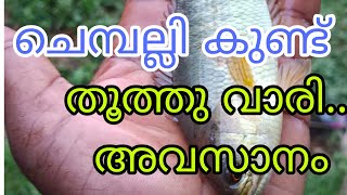 കിടിലൻ ചെമ്പല്ലി പിടുത്തം choondal fishing fish [upl. by Orola]