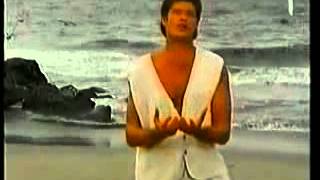 David Hasselhoff  quotDuquot  Official Music Video [upl. by Elleivad]