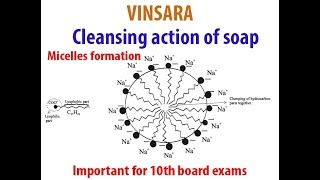 10TH ch4 topic cleansing action of soap Micelle formation [upl. by Landel]