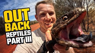 SEARCHING FOR REPTILES IN OUTBACK NSW  HERPING GUNDABOOKA PART 3 [upl. by Noak]