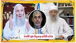 تعليق الشيخ محمد حسان على استشــهاد  يحي السنـ ـوار  وكلام للشيخ الحويني [upl. by Iron]