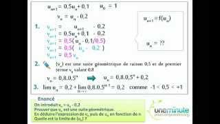 Suite Géométrique [upl. by Aicnorev]