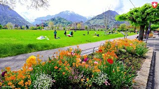 Interlaken Switzerland 4K 🇨🇭  A Touristic Swiss Town Nestled between Two Lakes  swiss [upl. by Dub]