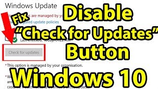 Disable “Check for Updates” Button in Windows 10  check for updates button missing windows 10 [upl. by Zapot]