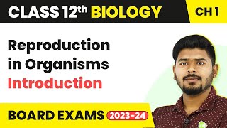 Introduction Reproduction in Organisms  Class 12 Biology 202223 [upl. by Deck]